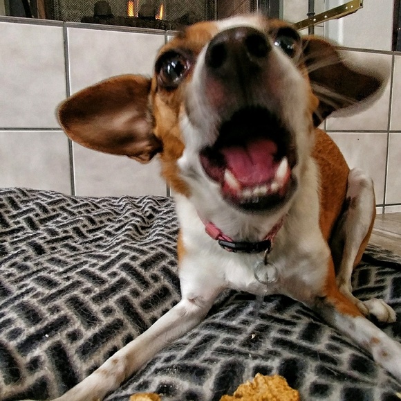 Profile Picture of Daniel Damore (@danieldamore) on Poshmark