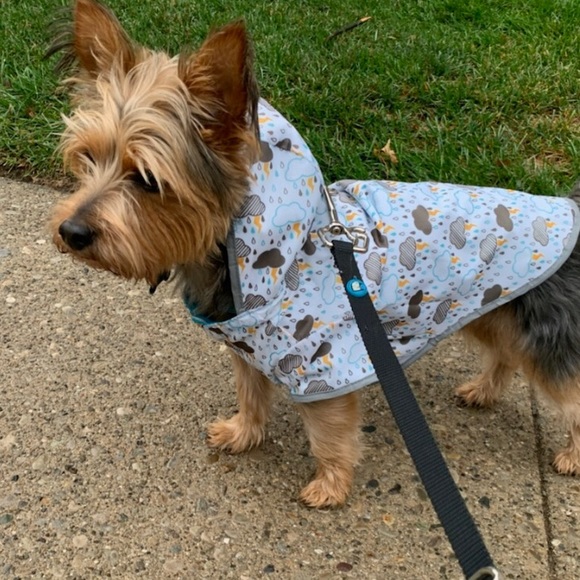 Profile Picture of John Mcnulty (@jmcnulty7070) on Poshmark