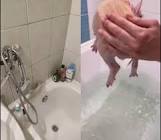 Profile Picture of   Oleg Ivanov (@oleg.slimper)... (@oleg.slimper) on Tiktok