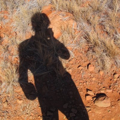 Profile Picture of Scott Yuan (@yylscott) on Twitter