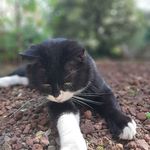 Michael_ Pizzolato_09 - Instagram Profile Picture of Michael_ Pizzolato_09 (@michaelpizzolatoo) on Instagram