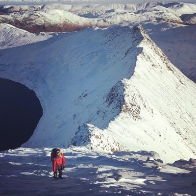 Profile Picture of David Chase (@dchase88) on Twitter