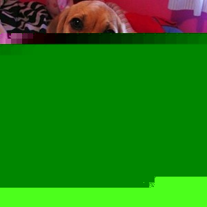 Profile Picture of Bianca Bouchard (@392240209) on Myspace