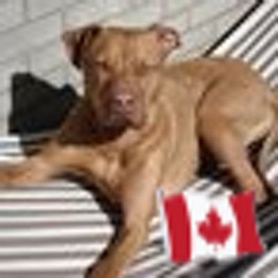 Profile Picture of Maya Howe Proulx (@Zoei78) on Twitter