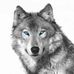 Profile Picture of Andrew Branham (@andrew.branham.5030) on Facebook
