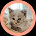 Profile Picture of stellaa (@reese_halle) on Pinterest