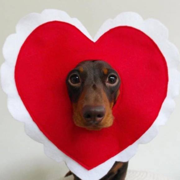 Profile Picture of Barbara Link (@brisalink) on Poshmark