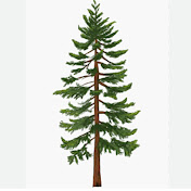 Profile Picture of Doug .sigstad (@2525doug2525) on Youtube