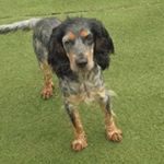 Profile Picture of Janet Bryce (@janet.bryce.779) on Instagram