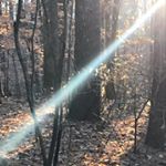 Profile Picture of Gary Greene (@garystories) on Instagram