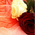 Profile Picture of Ghada90 (@ghada90) on Flickr