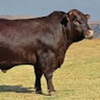 Profile Picture of Wyatt Tyler (@wyatt-tyler-8) on Quora