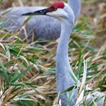 Profile Picture of Joe (@joethurmondjf653) on Instagram