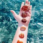 Profile Picture of Peter Heinz (@peterheinz4455) on Instagram