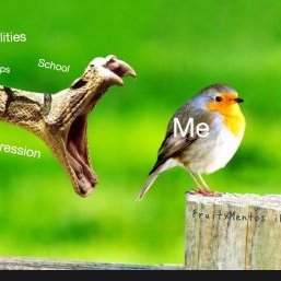 Profile Picture of Dave Knope (@dave_knope) on Twitter