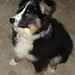 Profile Picture of Kevin Ochs (@greenpointboy2) on Pinterest