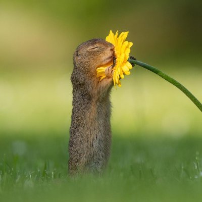 Profile Picture of Mike Gribbin (@MikeGribbin1) on Twitter