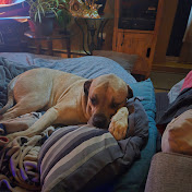 Kevin Belisle - Youtube Profile Picture of Kevin Belisle (@kevinbelisle3351) on Youtube