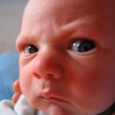 Profile Picture of Jakob Snowden (@TalFanReacts) on Twitter