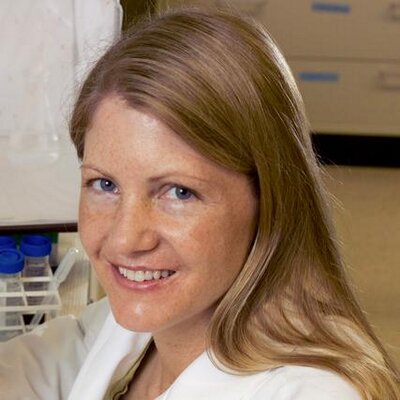 Profile Picture of Laura_Harrington (@Harrington_lab) on Twitter