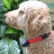 Profile Picture of Dawn Bakal (@dawnbakal2202) on Youtube