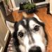 Profile Picture of Neil Schroeder (@neil.schroeder.98) on Facebook