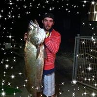 Profile Picture of James Palin (@james-palin-3) on Quora