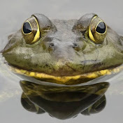 Profile Picture of Jlichty21 (@jlichty2128) on Youtube