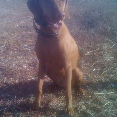 Profile Picture of Barry Nelson (@barryn65) on Twitter