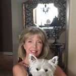 Profile Picture of Linda Scarborough (@lindas7711) on Instagram