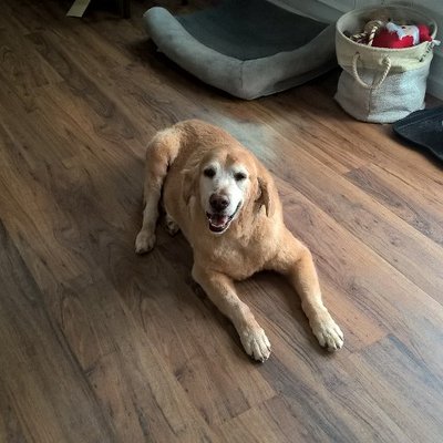 Profile Picture of Bob Latshaw (@hrking3) on Twitter