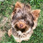 Profile Picture of Michelle B (@cocoborrero) on Instagram