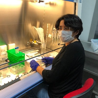 Profile Picture of Serife Ayaz-Guner (@AyazGuner) on Twitter