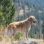 Profile Picture of Sherry Sopko (@sherrysopko) on Instagram