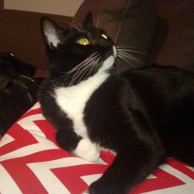 Danielle Burge - Twitter Profile Picture of Danielle Burge (@danielle77burge) on Twitter