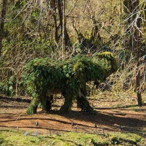 Profile Picture of Shantana Longoria (@shantana71) on Poshmark