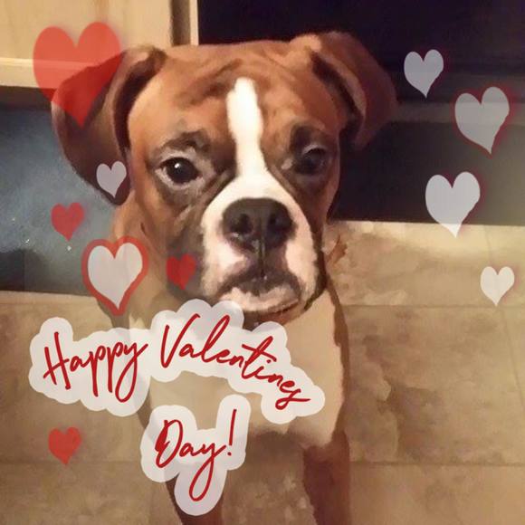 Profile Picture of Danielle Harper (@danielleharper) on Poshmark