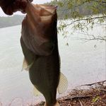 Preston Holcomb - Instagram Profile Picture of Preston Holcomb (@preston_holcomb22) on Instagram