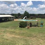 Profile Picture of Buckhorn Ranch Joshua,TX (@staybuckhornranch) on Instagram