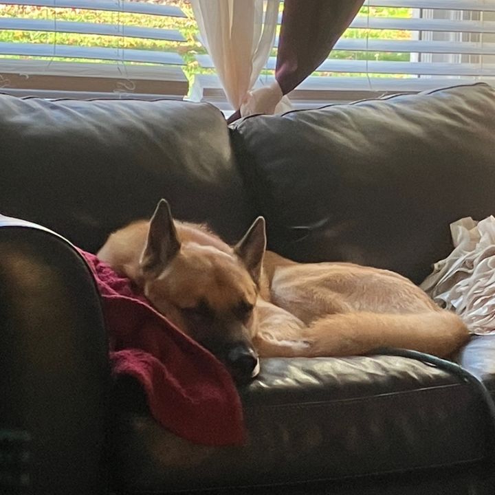 Profile Picture of Jared Garfinkel (@jaredgarfinkelalbertein) on Tiktok