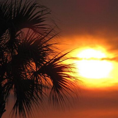 Profile Picture of Janet Rendon (@janet_rendon) on Twitter