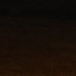 Profile Picture of helena e dani (@dixx.dani_marion) on Instagram