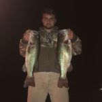 Chase McCarley - Instagram Profile Picture of Chase McCarley (@chasemccarley11) on Instagram