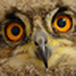 Profile Picture of Matt Christopher (@matt christopher) on Flickr