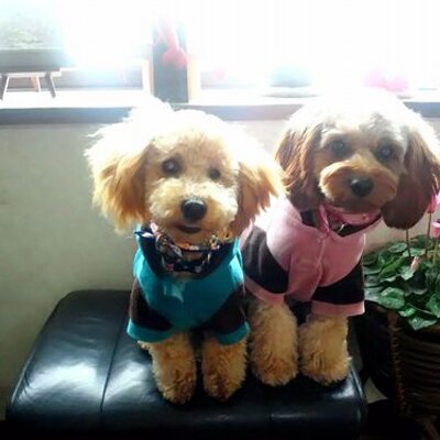 Profile Picture of ＡＭＹ (@@amse_) on Twitter