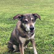 Profile Picture of Danielle Roche (@danielleroche1841) on Youtube