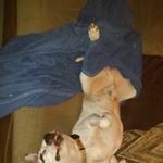 Profile Picture of Edward Prus (@edwardpru) on Instagram