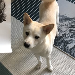 Profile Picture of Sam Worsham (@samworsham) on Instagram