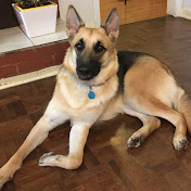 Profile Picture of Mymy Nguyen (@mymynguyen6170) on Youtube