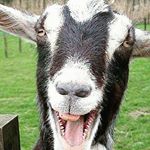 Profile Picture of larry paschall (@paschalllarry) on Instagram